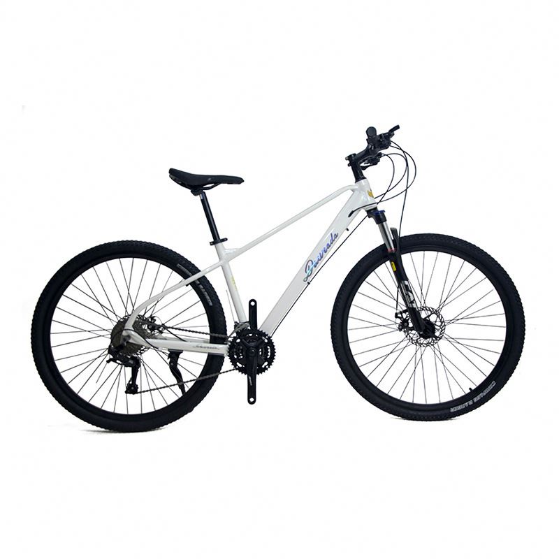 29 inch Aluminum Alloy Mountai - Mountain Biking Usa recension och pris